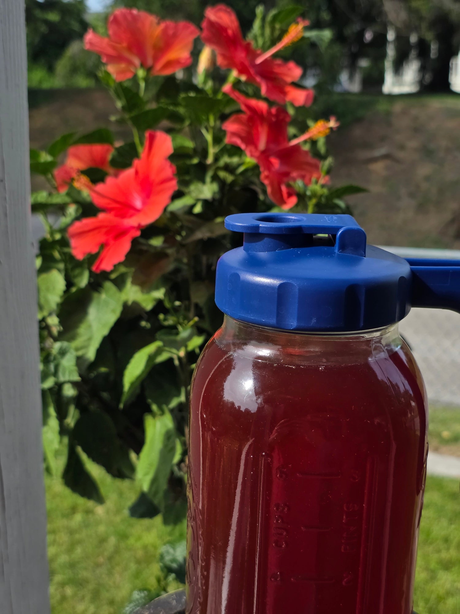 Iced Tea Favorites